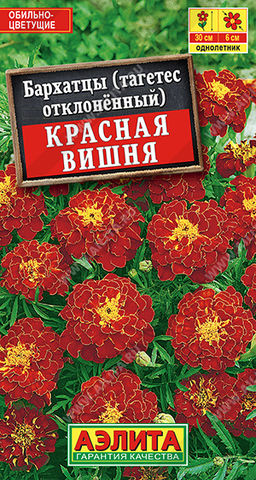 Бархатцы Красная вишня отклоненные (2029