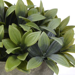 Цветочная композиция Зелень 15 см / 18054 /уп 6/72/ без индивидуальной упаковки - Галеонтрейд фото 2