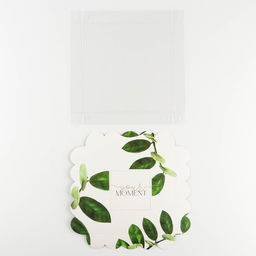 Цена за 5 шт. Коробка для печенья, кондитерская упаковка с пластиковой крышкой, «Эко», 18×18×3 см