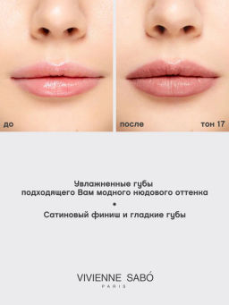 Vivienne Sabo Губная помада Nude Createur тон 17 холодный нюд  фото 8