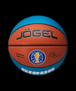 Мяч баскетбольный JOGEL Pro Training ECOBALL 2.0 Replica №7