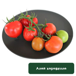 Алая каравелла