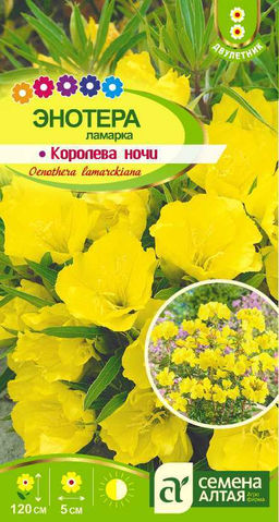 Энотера ламарка Королева ночи 0,1г (Семена Алтая)