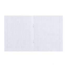 Цена за 200 шт. Тетрадь 24 листа в клетку «Зелёная обложка», плотность обложки 80 г/м²