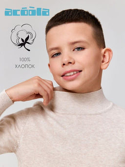 ACOOLA / Свитер детский для мальчиков
