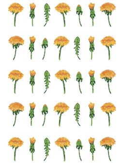 Набор для вышивания PANNA Живая картина JK-2280 Паттерн. Одуванчики 24 х 30 см