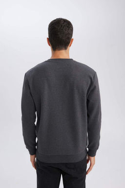 Жаккардовый свитшот стандартного кроя с круглым вырезом - Defacto фото 5