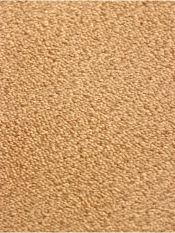 Домик для кошек с когтеточкой «Домосед», с лестницей и площадкой, 60×35×56 см, бежевый