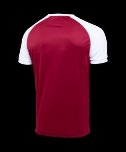 Футболка игровая JOGEL CAMP Reglan Jersey, гранатовый/белый, детский