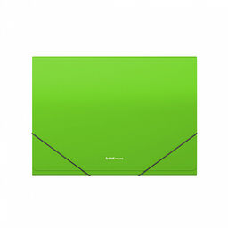 АКЦИЯ Цена за 4 шт. Папка-картотека пластиковая ErichKrause Matt Neon, с 13 отделениями, Check size, ассорти (в пакете по 4 шт.)  фото 18