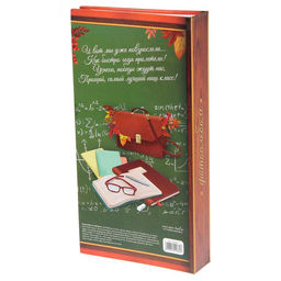 Фотоальбом на 300 фото 10×15 см «Мой школьные годы»