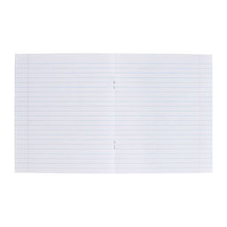 Комплект тетрадей из 20 штук, 12 листов в линию КПК Зелёная обложка - Calligrata фото 3