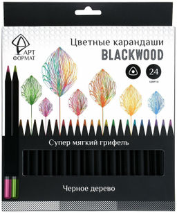 Набор цветных карандашей АРТформат Blackwood 24 цветов, трехгранный деревянный корпус