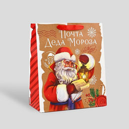 Цена за 2 шт. Пакет подарочный новогодний ламинированный Почта Деда Мороза, M 26?30?9 см