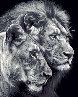 ФРЕЯ PNB/PL-367 Набор для раскрашивания по номерам 50 х 40 см Черно-белые львы