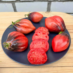 Малиновые носики Сержанта Пеппера Новинка: 2025 года