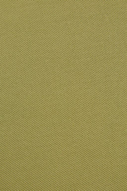 Erkek Slim Fit Polo Yaka _a_la Basic Ti__rt