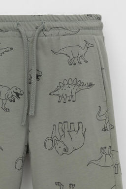 Crockid _ КР 400793-1/зеленый чай,динозавры к554 шорты для мал  фото 2