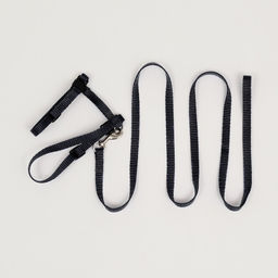 Комплект для кошек, ширина 1 см, ОШ 16,5-27 см, ОГ 21-35 см, поводок 120 см, чёрный - Пижон фото 7