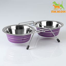 Набор из 2 цветных мисок на подставке, 2×350 мл