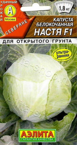 Капуста б/к Настя F1 0,1г (Аэлита)