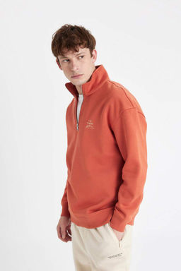 Мужская комфортная толстовка обычного кроя на молнии с высоким воротником и текстовым принтом - Defacto фото 3