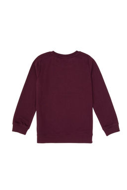 Erkek _ocuk Bordo Bisiklet Yaka Sweatshirt - U.s. polo assn фото 12