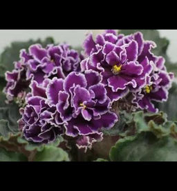 4952a2a629092f5e2908db8d9ab050eau3vnrk29men5ir5k