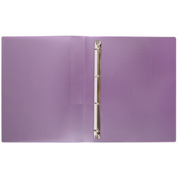 Expert Complete Trend ICEberries Папка на 4 О-кольцах A4 700 мкм 25 мм лён 1 шт. d - 17 мм ежевика EC211420072