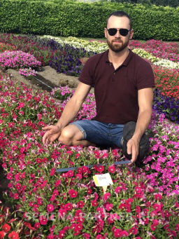 Петуния Лагуна Ирен каскадная розовая с глазком - Партнер фото 5