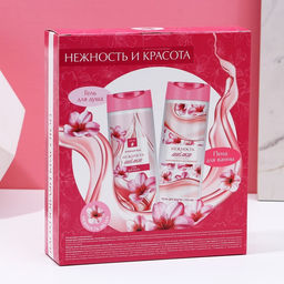 Подарочный набор косметики «Нежность и красота», гель для душа и пена для ванны, 2×250 мл, Чистое счастье