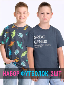 2футболки 2ПДФК5832001н