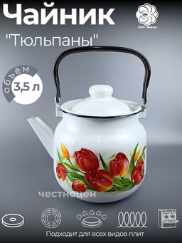 Чайник для плиты 3,5л 01-2713/4 Тюльпаны