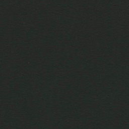 Canson Альбом для смешанных техник Graduate 120 г/м2 A4 21 х 27.9 см склейка с одной стороны 20 л. C400110386 Черная бумага