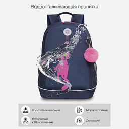 RG-263-8 Рюкзак школьный