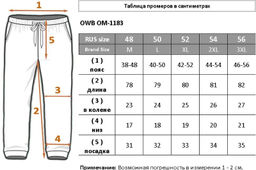 Мужские спортивные брюки 3-ниточный футер с начесом - Bayron фото 5