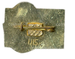 Значок Леся Украинка -100 лет