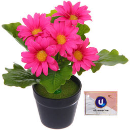 Цветочная композиция "Поцелуй лета" Хризантема ярко-розовая 20см