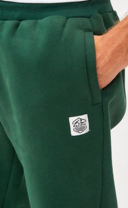 Брюки спорт F121-0821-1 pine - Fine joyce фото 6