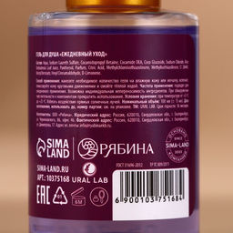 Гель для душа Happy New Year, набор 4100 мл, URAL LAB  фото 5