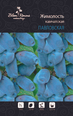 Жимолость Павловская