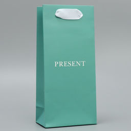 Цена за 2 шт. Пакет подарочный ламинированный, упаковка, «Подарок», 10 х 22 х 6 см