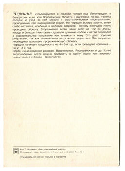 Открытка Черешня