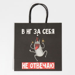 Пакет подарочный Вообще не отвечаю, 22 22 11 см - Дарите счастье фото 5