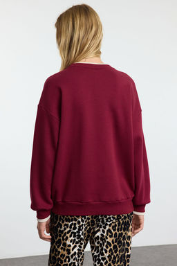 TRENDYOLMILLA Bordo Slogan Nak?sl? Renk Bloklu Oversize Kal?p Kal?n Ici Polarl? Orme Sweatshirt TWOAW25SW00245 фото 5