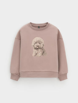 КР 302816/латте к625 джемпер (свитшот) для дев