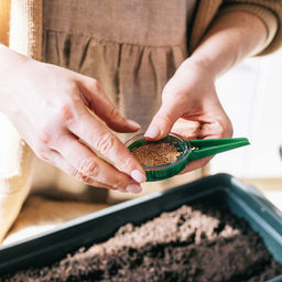 Цена за 3 шт. Сеялка для семян, ручная, для точечной посадки, длина 12 см, пластик