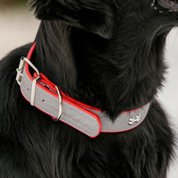 Ошейник широкий с косточками, светоотражающий, 66 х 3,5 см, ОШ 48-58 см, красный - Пижон фото 8