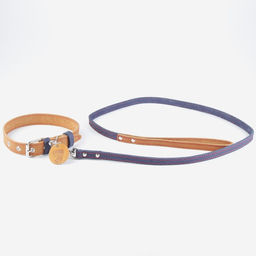 Комплект : ошейник (36-56х2.5 см) и поводок (130х1.5 см), цвет бежевый и синий - Пушистое счастье фото 5