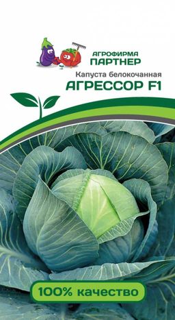 Капуста белокочанная среднепоздняя Агрессор
